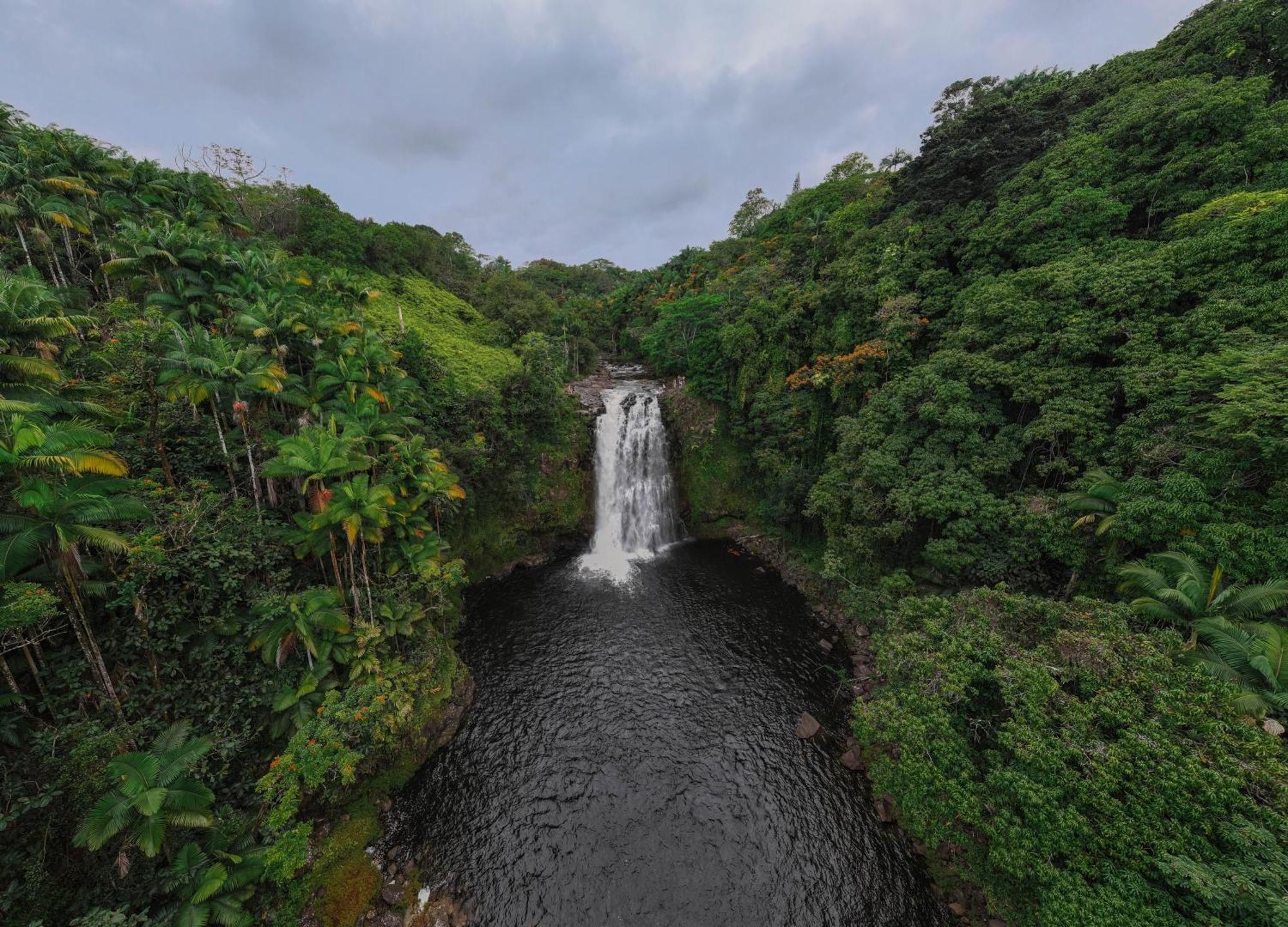 Howzit Hostels Hawaii Hilo Exteriör bild